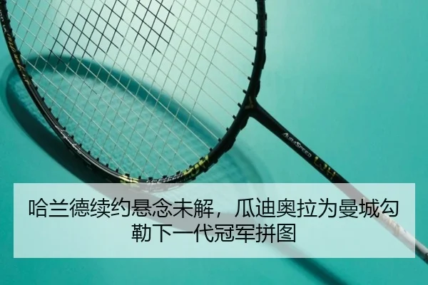 ha-lan-de-xu-yue-xuan-nian-wei-jie-gua-di-ao-la-wei-man-cheng-gou-le-xia-yi-dai-guan-jun-pin-tu-3-927.jpg